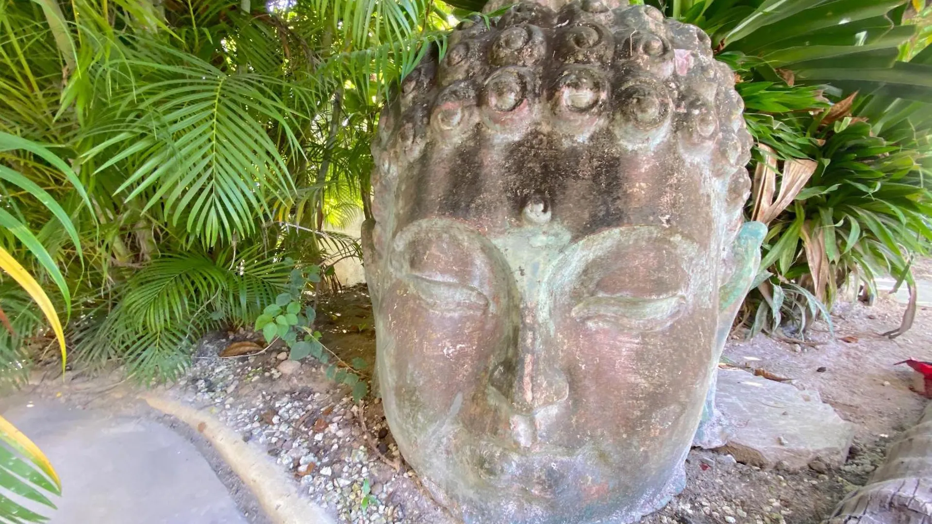 Hotel Serenity Villas And Suites - Playa Los Corales Punta Cana